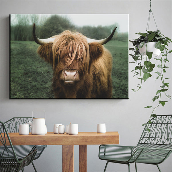 Highland Cattle 1.0 - Aries Den